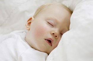 宝宝睡眠规律表