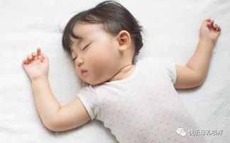 宝宝睡眠发展规律