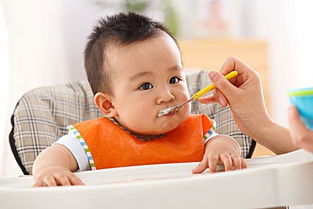 婴儿营养补充剂品牌