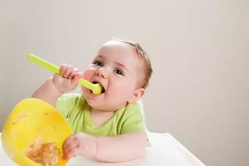 宝宝补充营养的食物