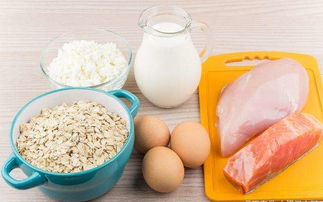 婴幼儿补充蛋白质的食物