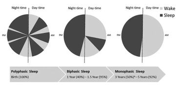 幼儿园睡眠时间表